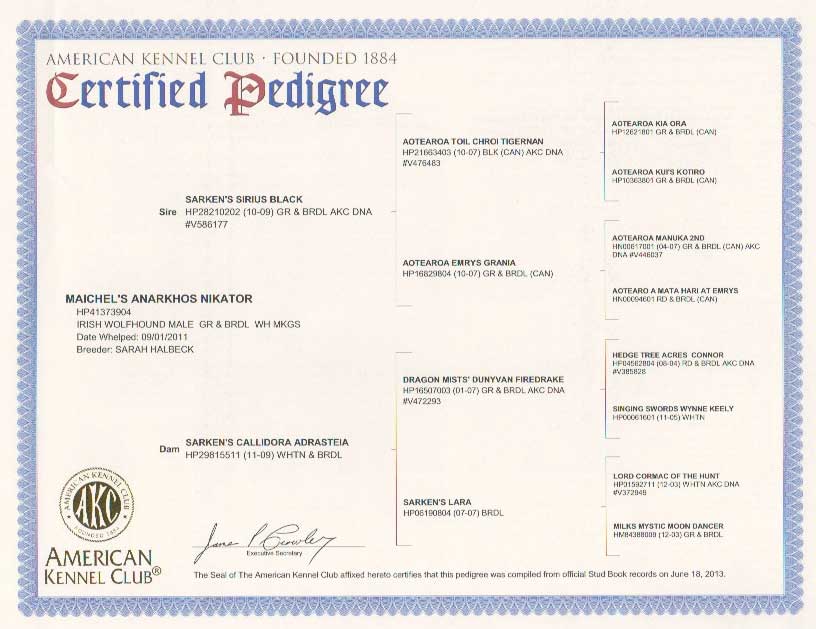 anarkhos certified pedigree